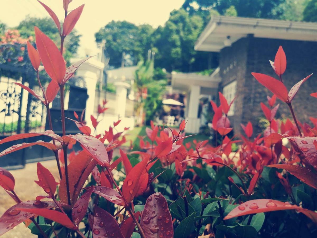 Anna Shanthi Villa Kandy Luaran gambar