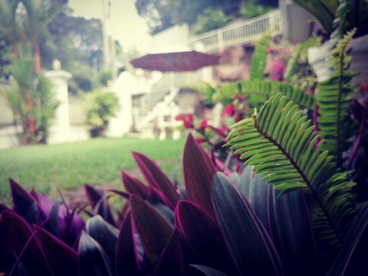 Anna Shanthi Villa Kandy Luaran gambar