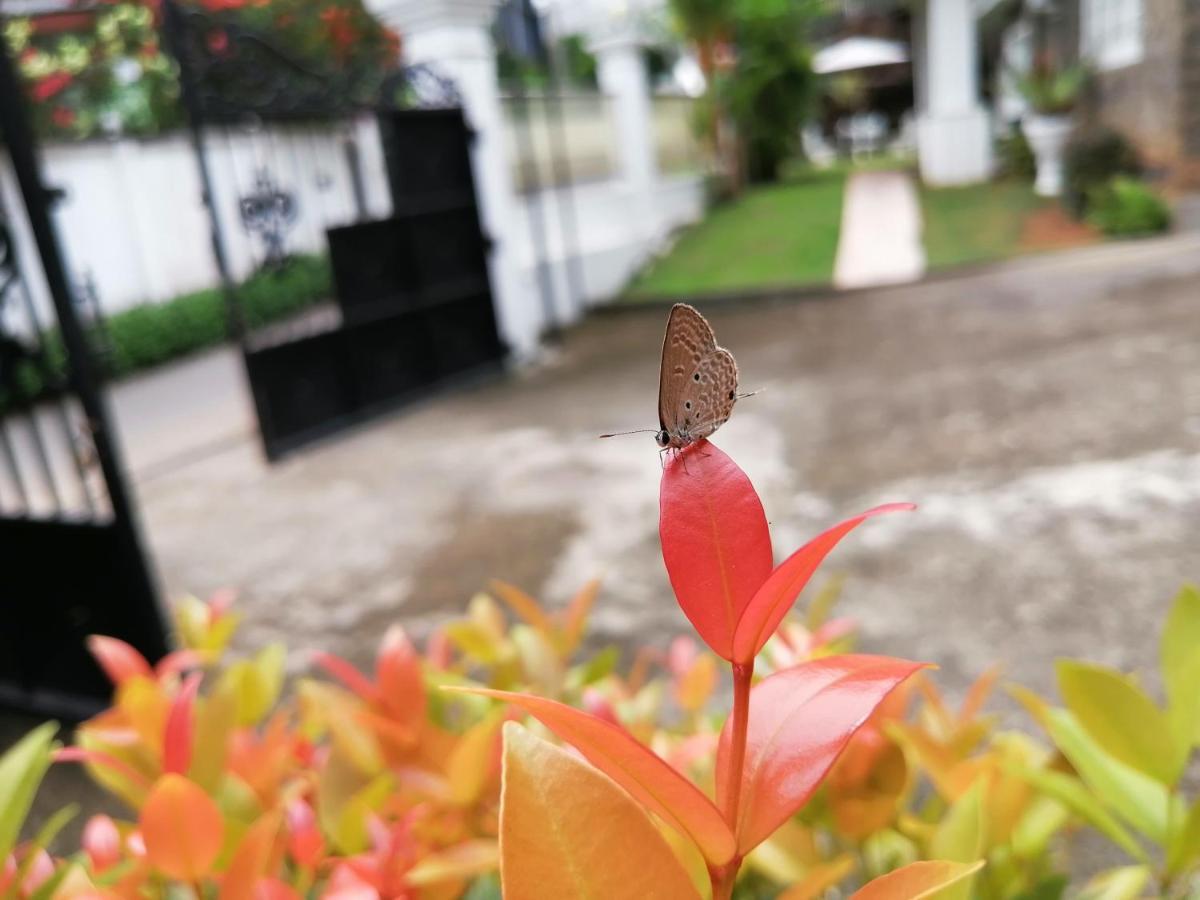 Anna Shanthi Villa Kandy Luaran gambar