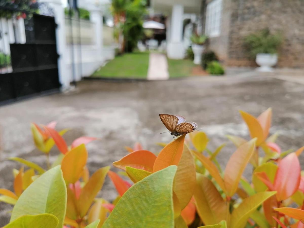 Anna Shanthi Villa Kandy Luaran gambar