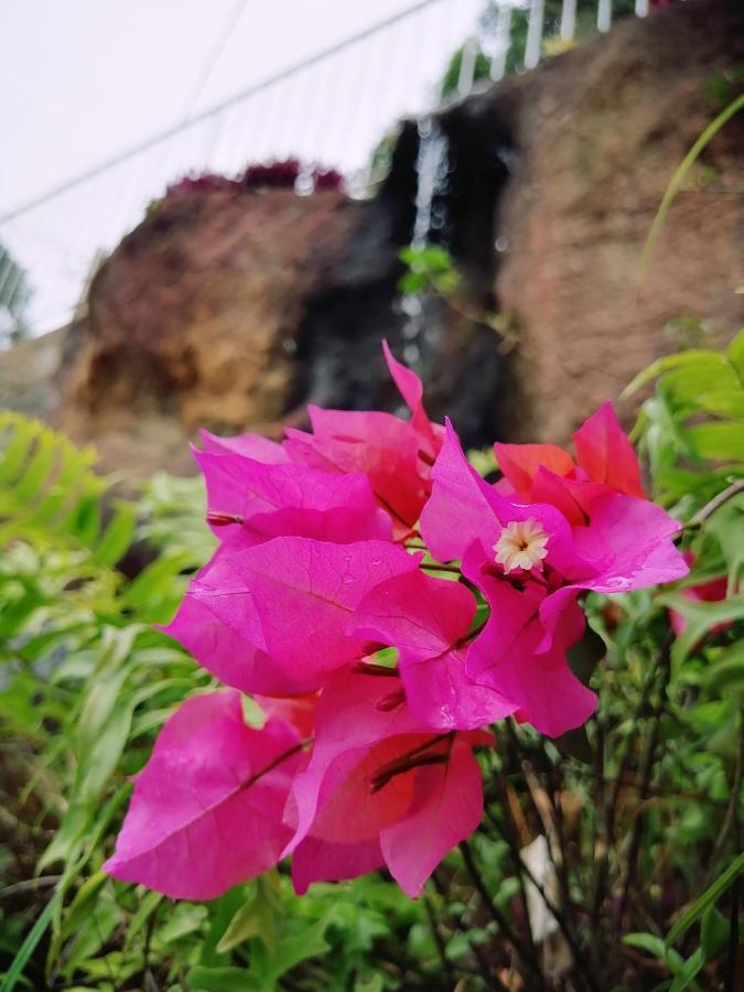 Anna Shanthi Villa Kandy Luaran gambar