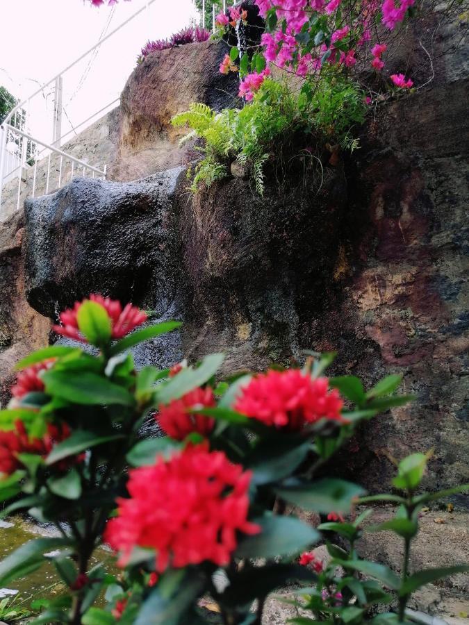 Anna Shanthi Villa Kandy Luaran gambar