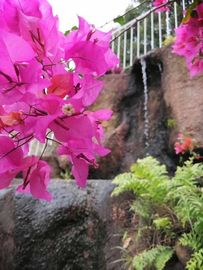 Anna Shanthi Villa Kandy Luaran gambar